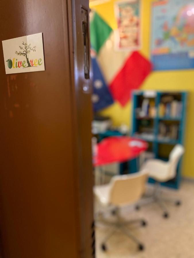 Olive Tree Hostel Μπάρι Εξωτερικό φωτογραφία