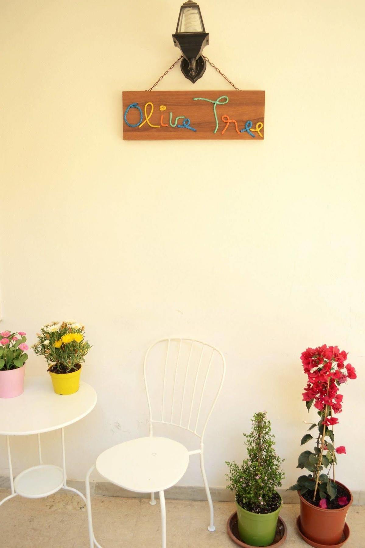 Olive Tree Hostel Μπάρι Εξωτερικό φωτογραφία
